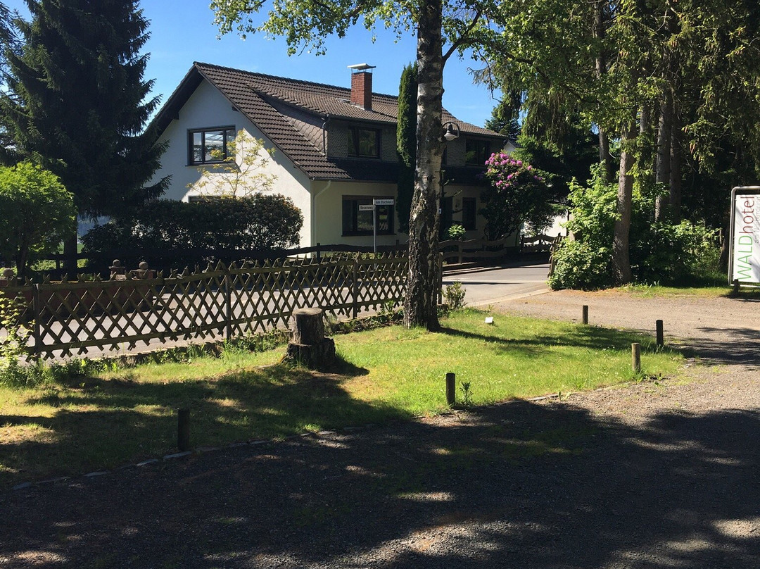 Waldhotel Am Nurburgring主图