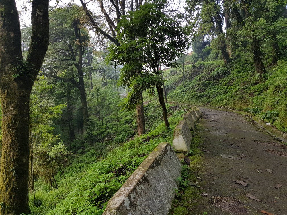 Green Valley Homestay