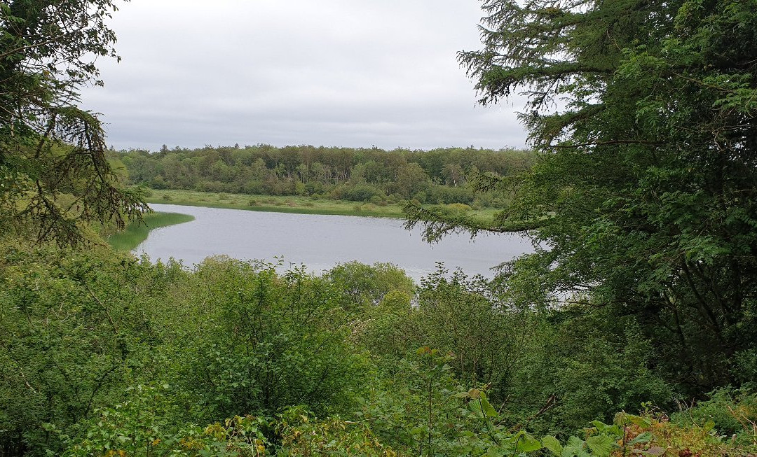 Dromore Wood Nature Reserve-恩尼斯必去景点