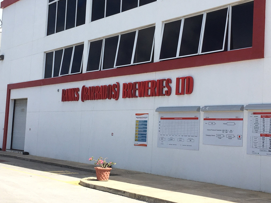 Banks Beer Brewery Tour & Visitor Centre-奥伊斯廷斯必去景点