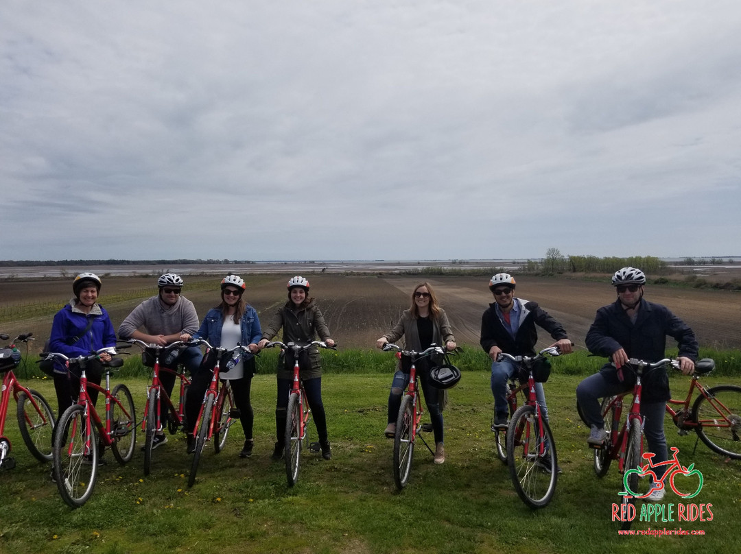 Red Apple Rides-多佛港必去景点