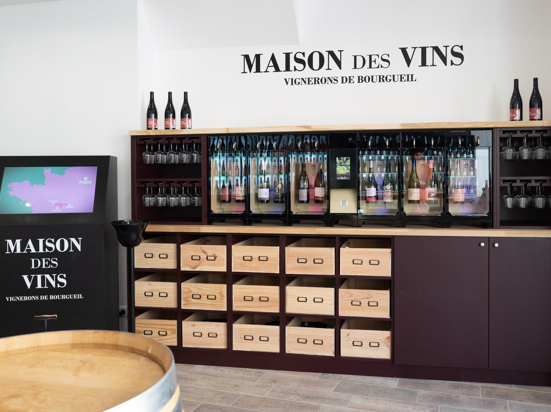 Maison des Vins de Bourgueil景点图片
