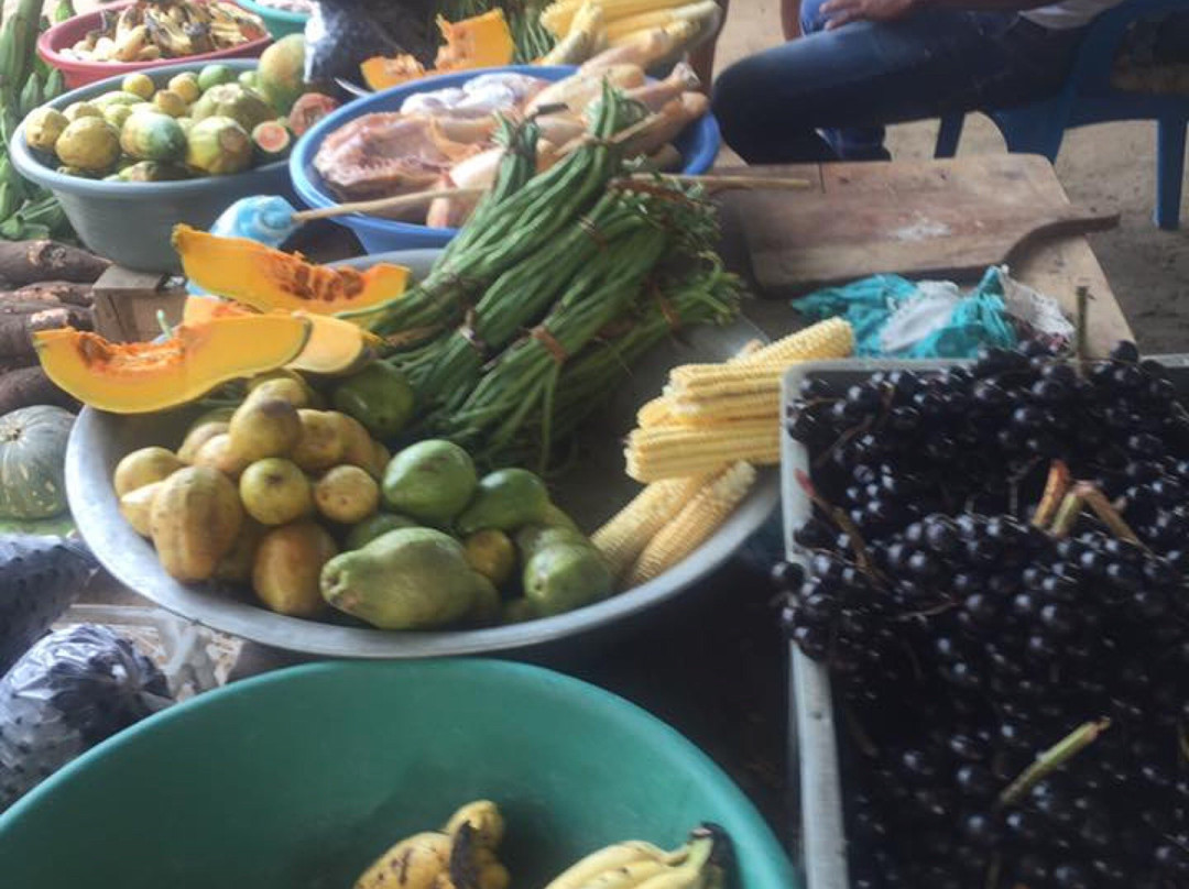 Mercado Municipal-蒙波斯必去景点