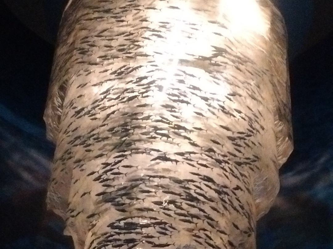 Rayong Aquarium-罗勇必去景点