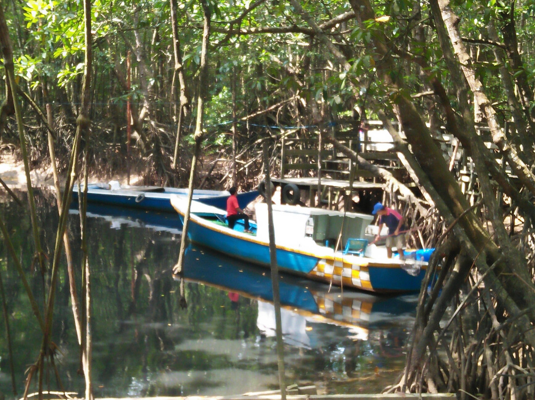 Mangrove Center Graha indah-巴厘巴板必去景点