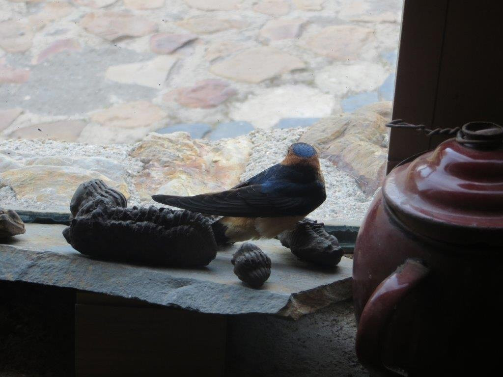 Boqueron de Estena主图