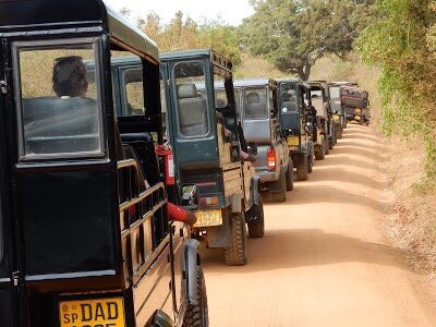 Panchi Safari Jeep Tours景点图片