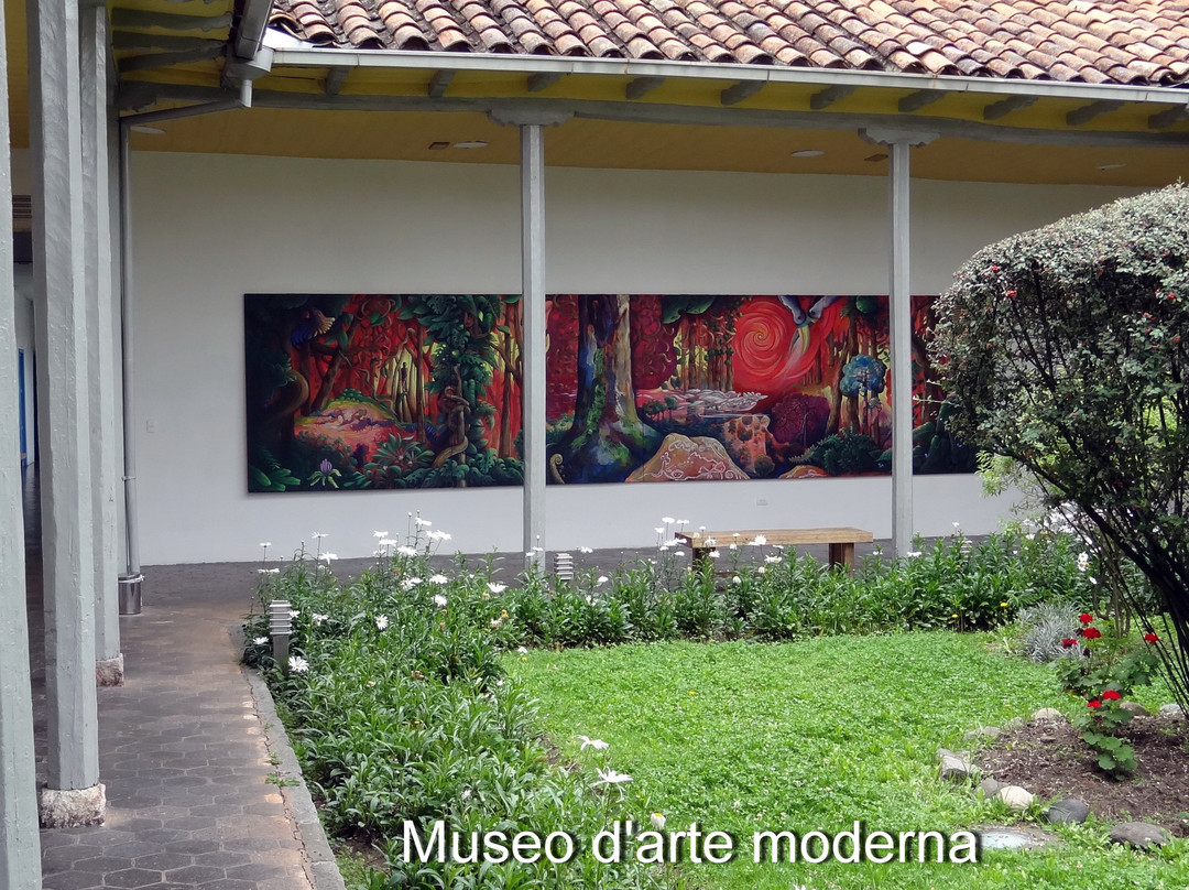 Museo Municipal de Arte Moderno景点图片