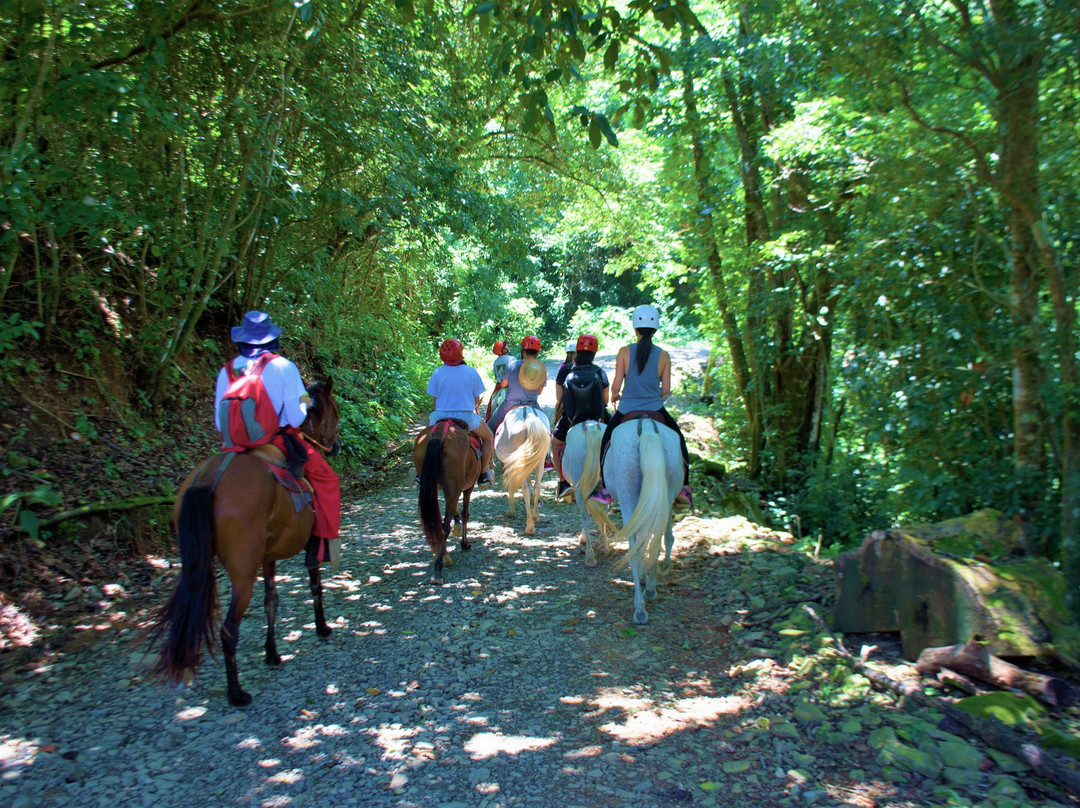 Adventure Park & Hotel Vista Golfo景点图片
