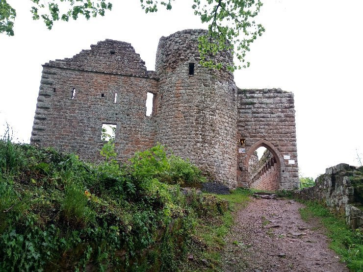 Burg Neuscharfeneck景点图片