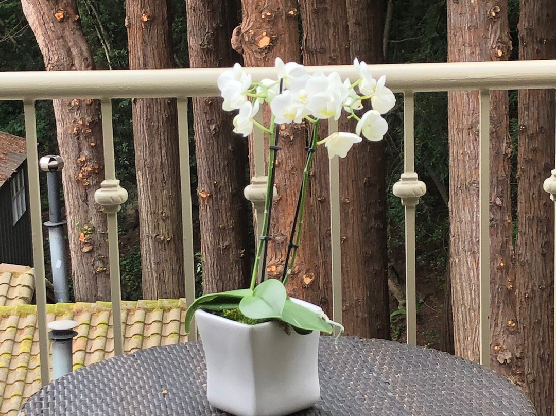 米尔谷旅馆主图