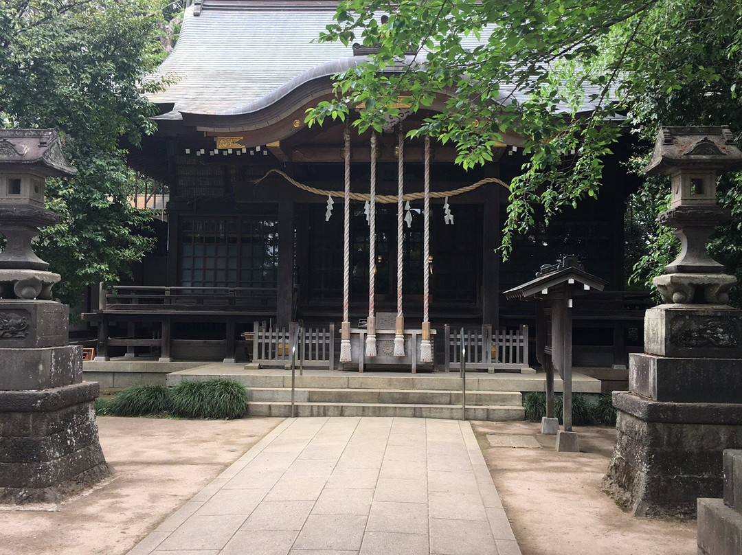 Shakujii Hikawa Shrine景点图片