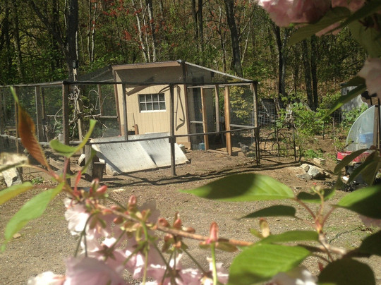 Pondering Creations Farm-Terryville必去景点