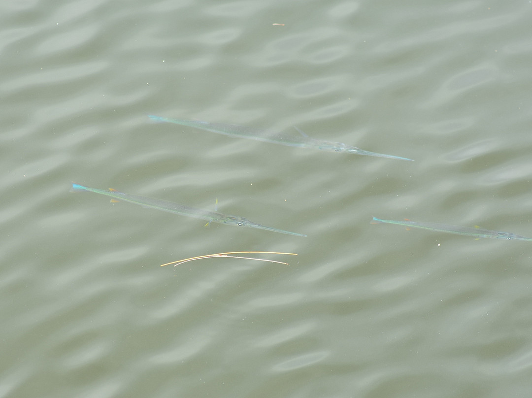 Riverside Park-维罗海滩必去景点