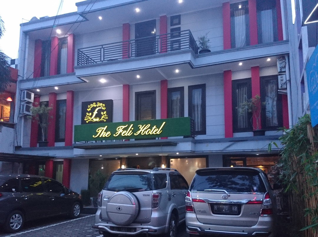 The Feli Hotel主图