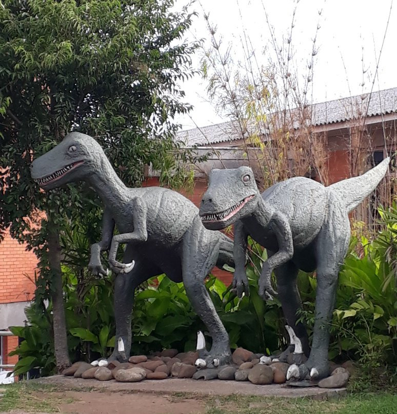 Museu de Ciências Naturais - UCS-南卡希亚斯必去景点