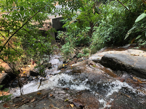 Huai Rap Sadet Waterfall-Doi Suthep必去景点