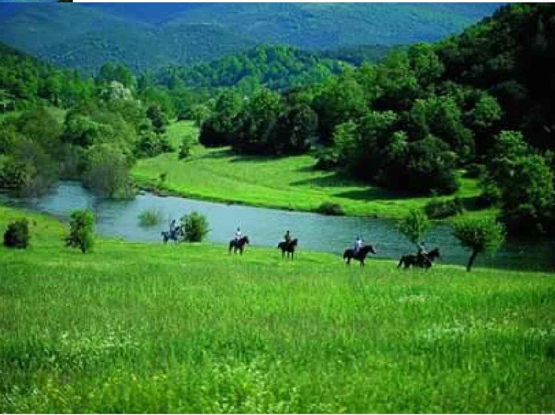 Centro Equestre Taloro-Fonni必去景点