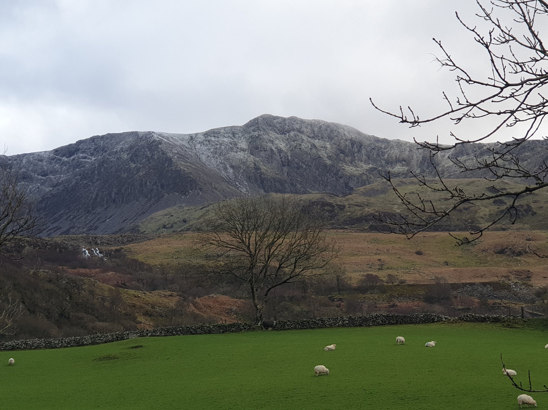 Tyddyn Mawr Farmhouse主图