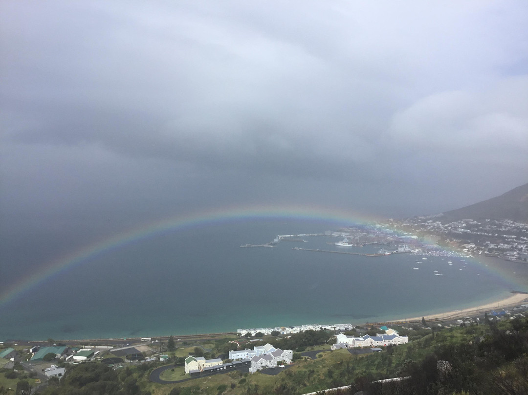 Kasi Africa Safari & Tours-开普敦中心区必去景点