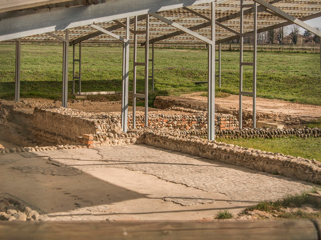 Archeological Site Palazzo Pignano景点图片