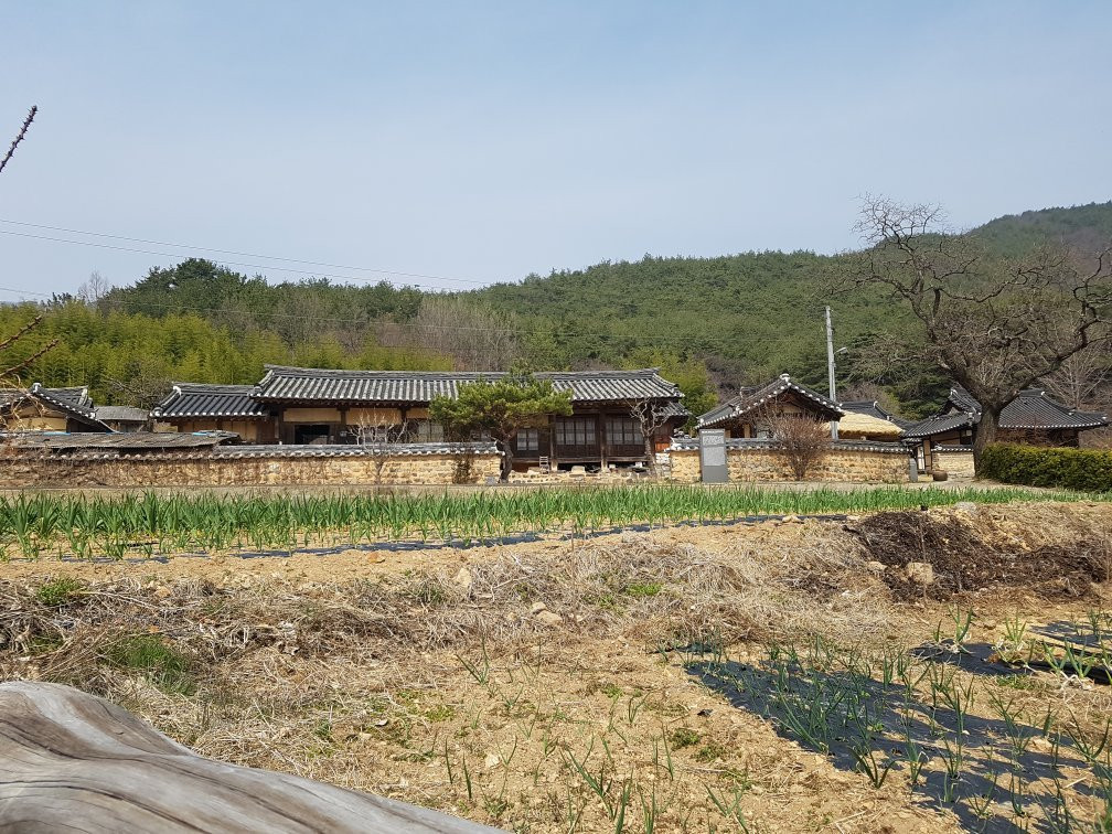 Deokdong Cultural Village景点图片