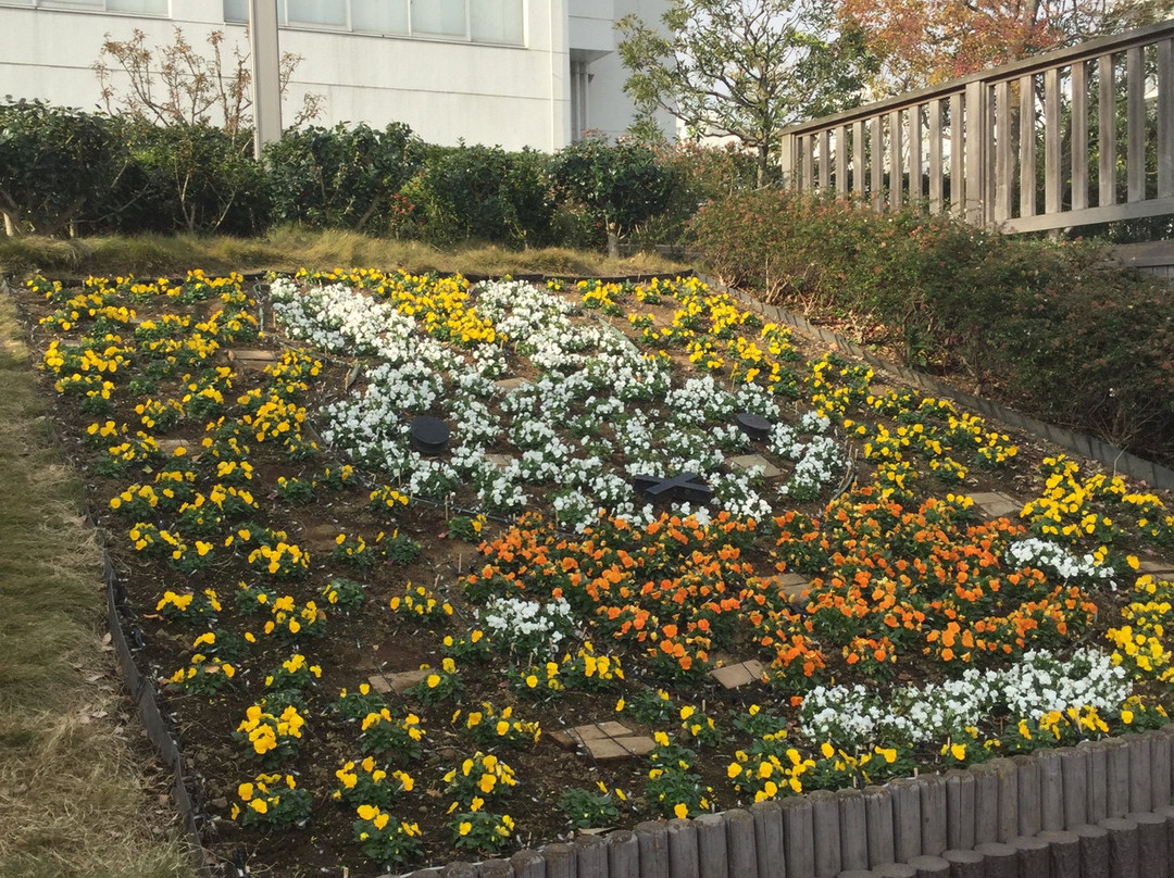 Miffy Park景点图片