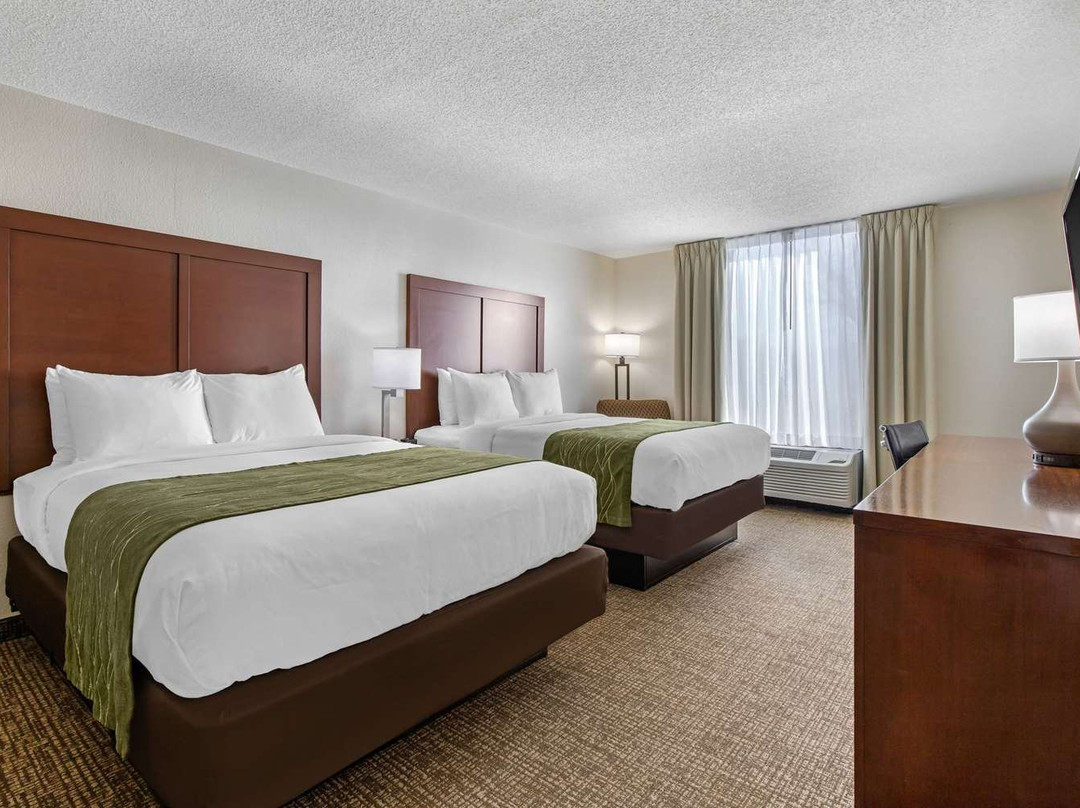 谢尔比希尔顿恒庭酒店主图