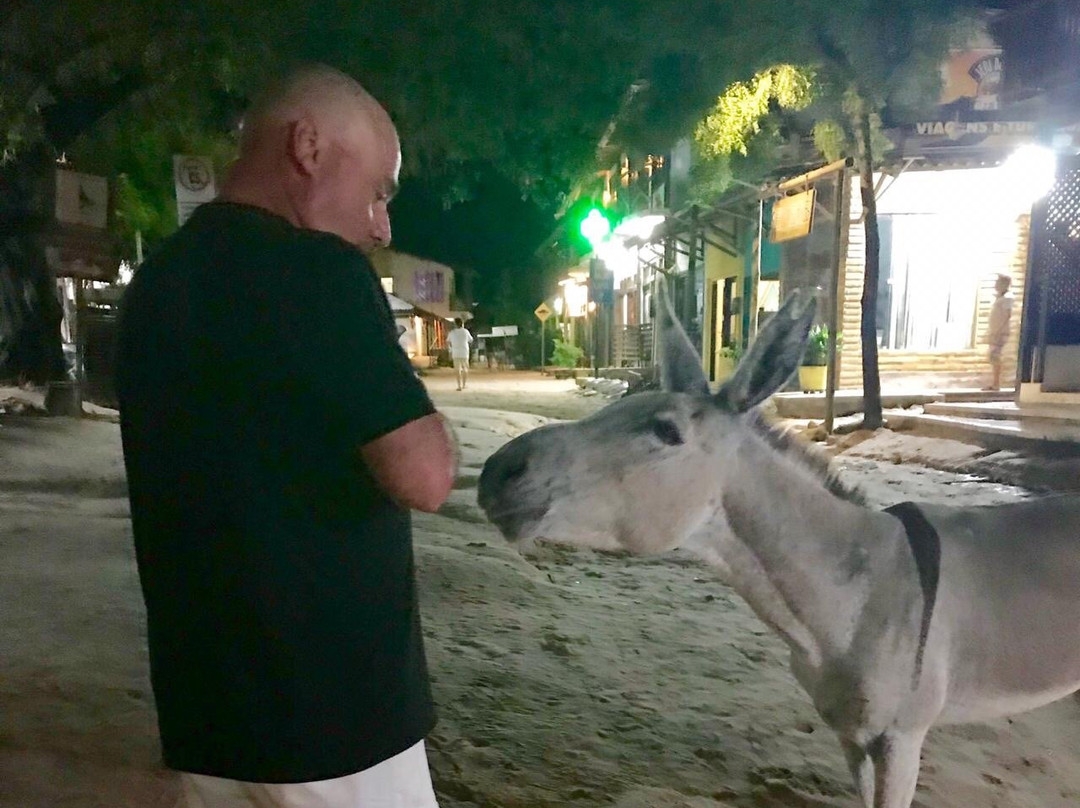 Jeri Rotas-杰里科科拉必去景点