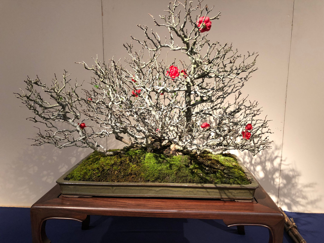 Kokufu Bonsai-Ten-Uenokoen必去景点
