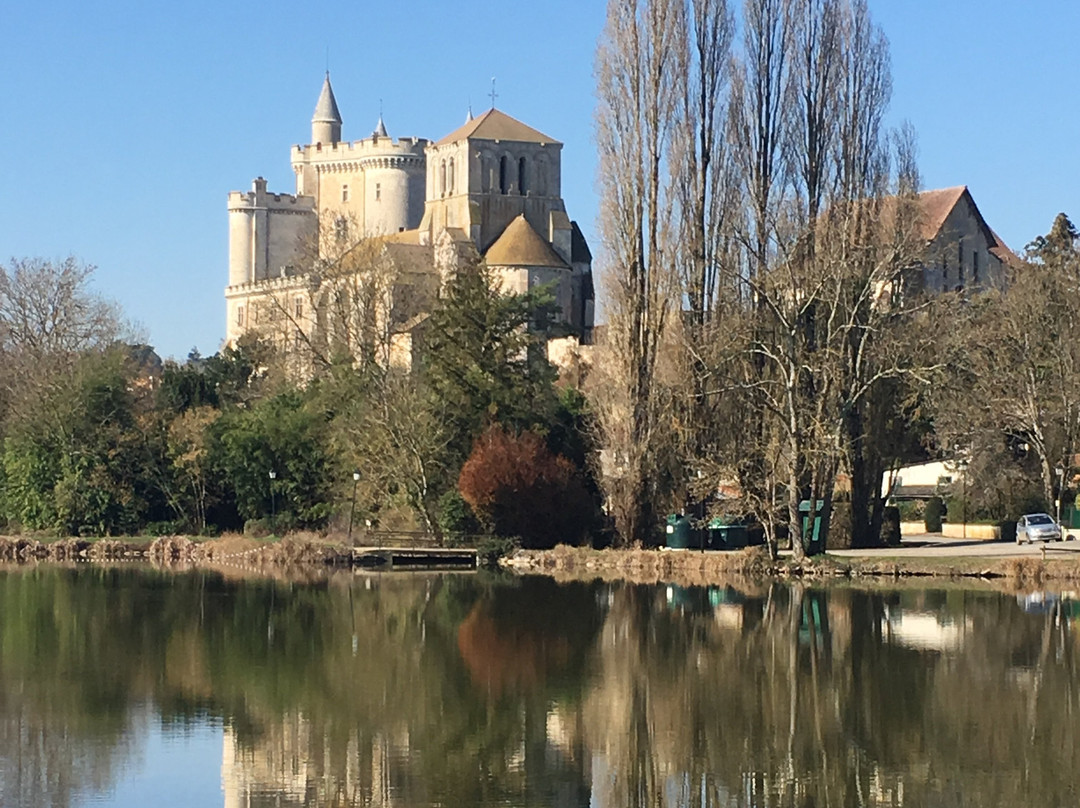 Eglise Notre Dame de l'Assomption景点图片