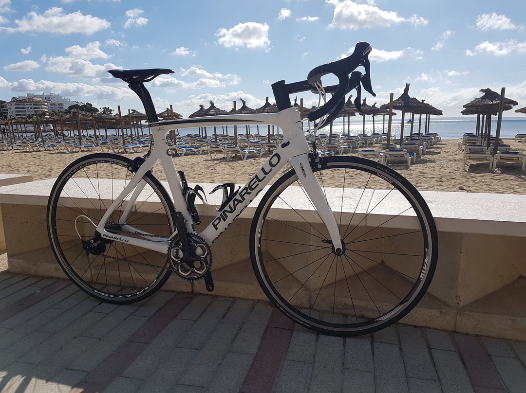 Why Not Cycling-Palmanova必去景点