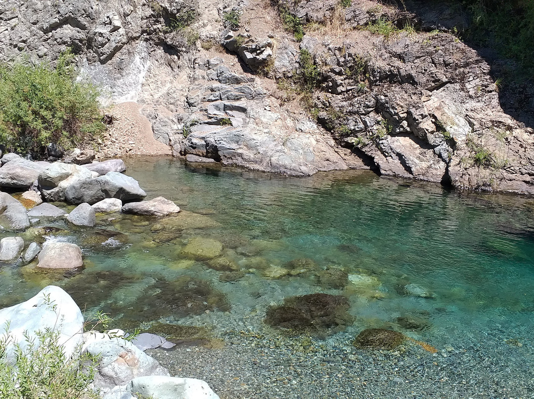 Reserva Nacional Los Bellotos-Colbun必去景点