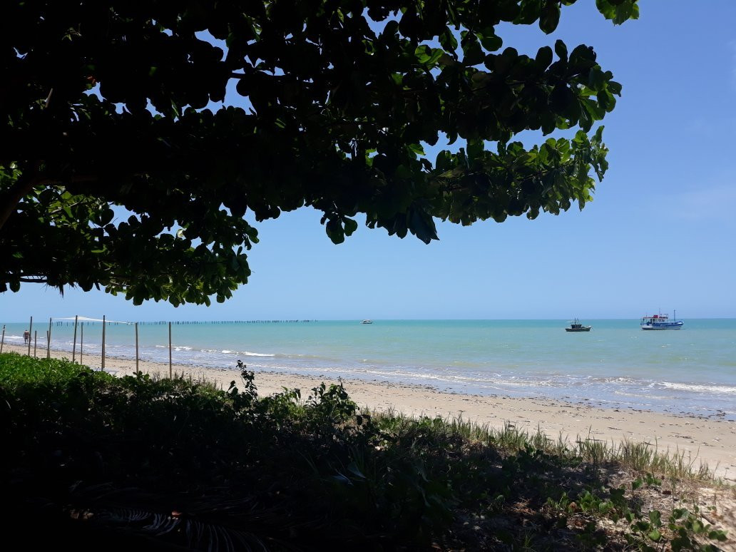 Praia de Cumuruxatiba景点图片