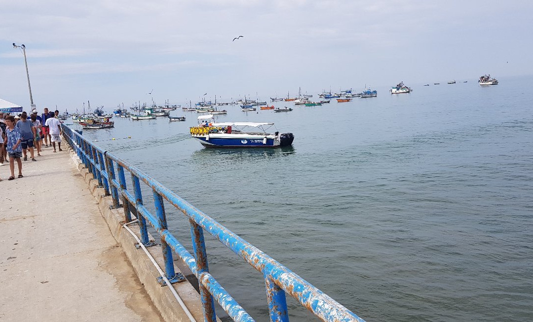 Planeta Marino-Organos必去景点