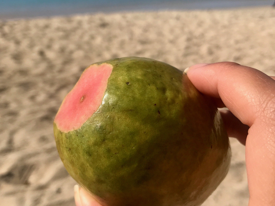 Rancho Luna Beach景点图片