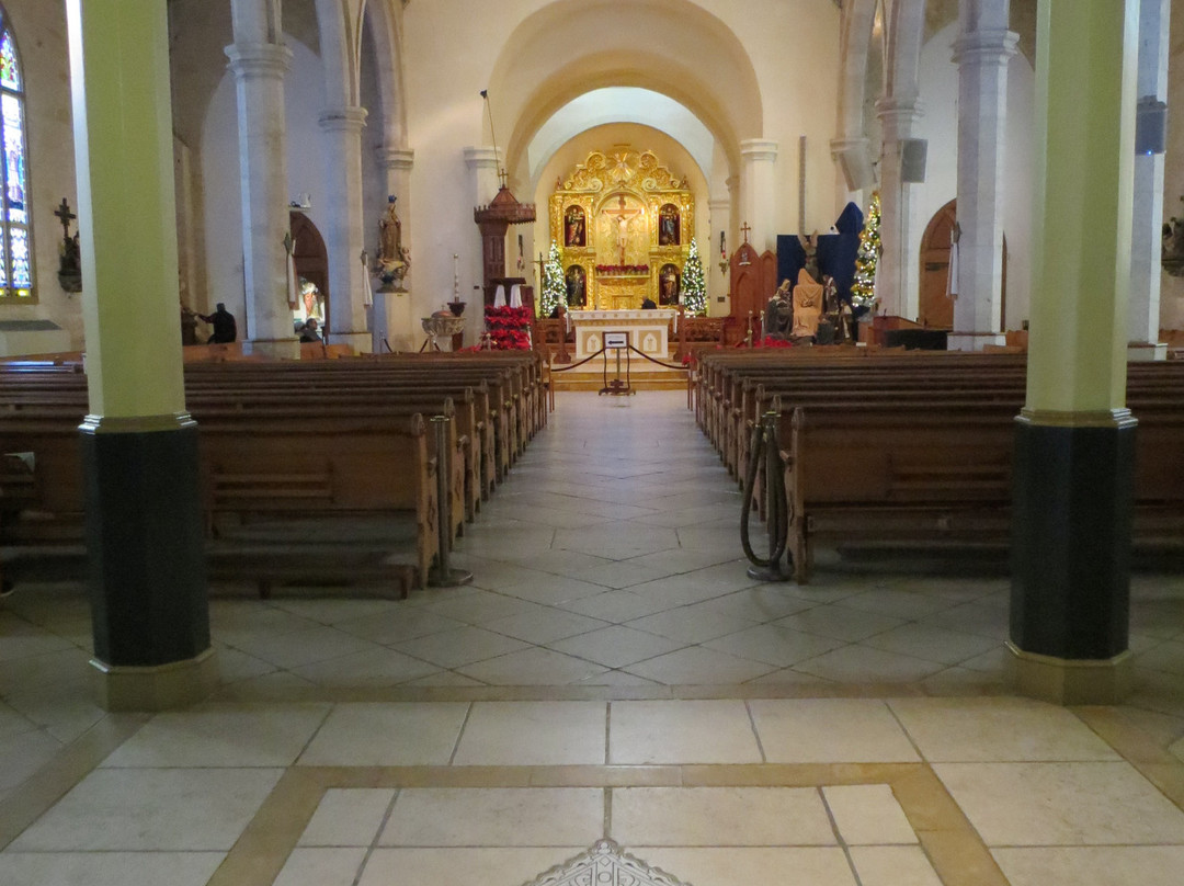 San Fernando De Bexar Cathedral景点图片