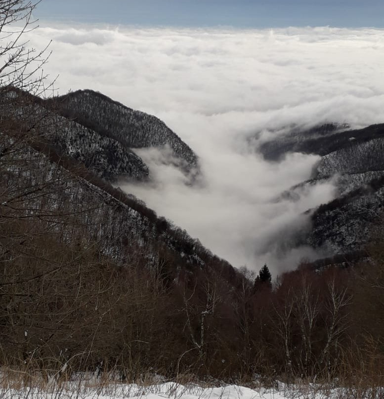Il Monte Bollettone (1300m)景点图片