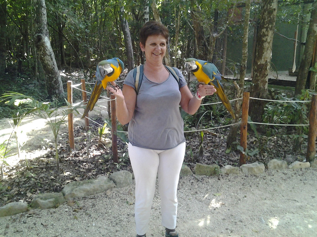 Vea Trips & Tours-艾库玛尔必去景点