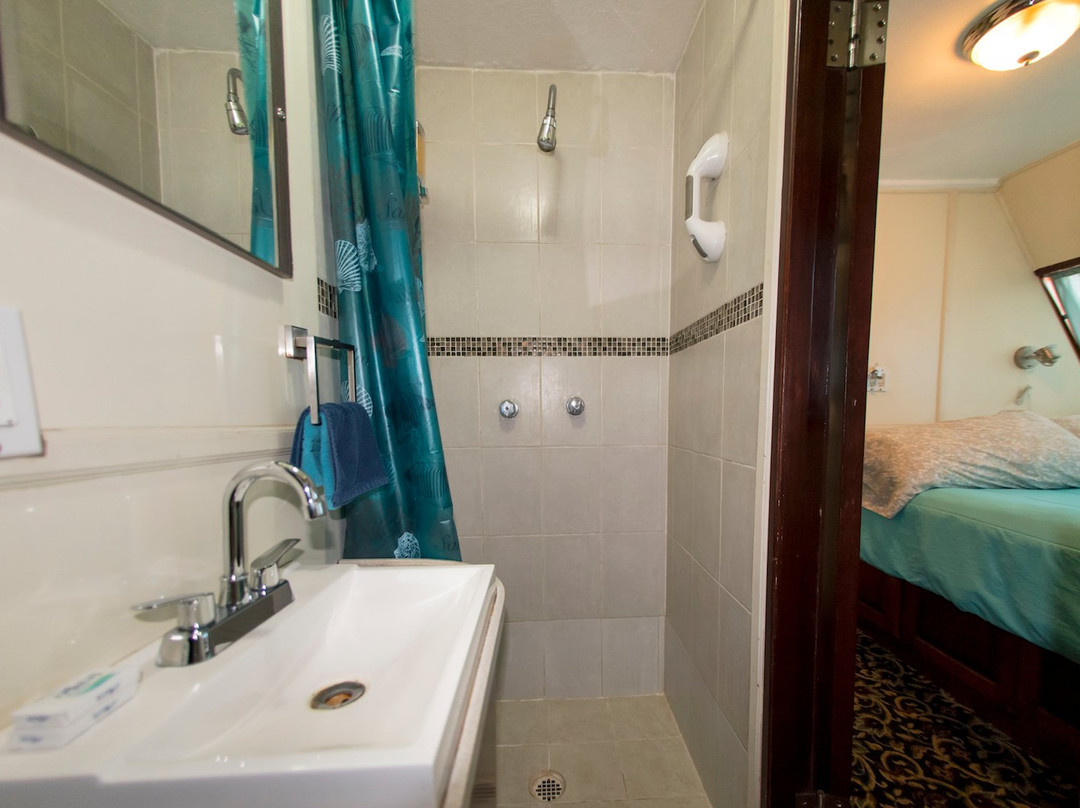 Islas Revillagigedo旅游攻略图片