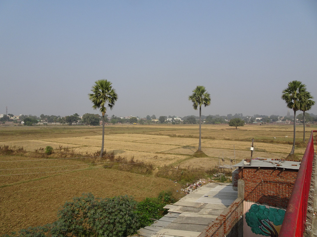 Deedi's Guesthouse主图