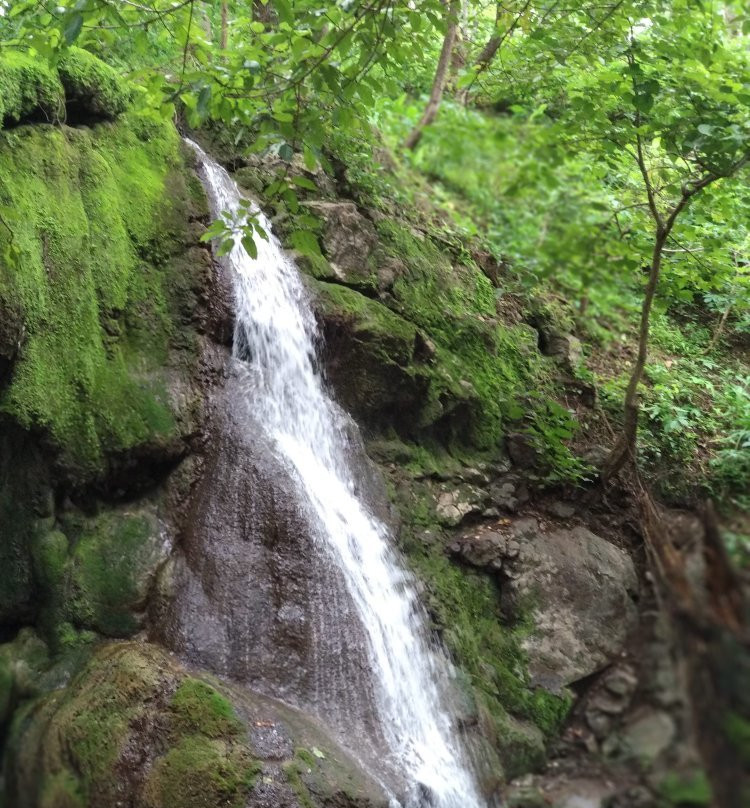 Gaumukh Waterfalls景点图片