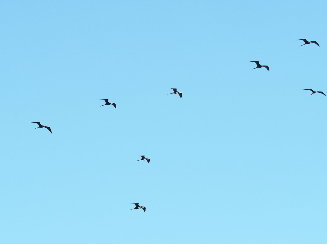 Garden Key-海龟国家公园必去景点