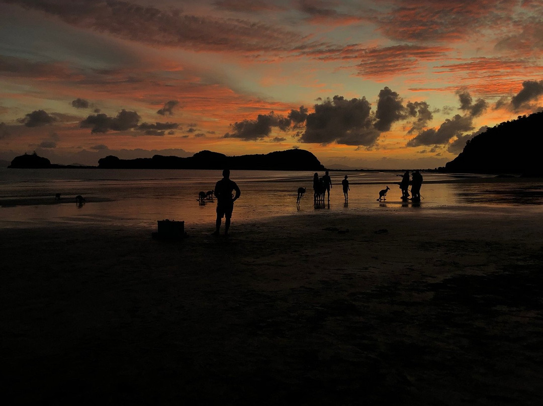 Cape Hillsborough Nature Tourist Park主图