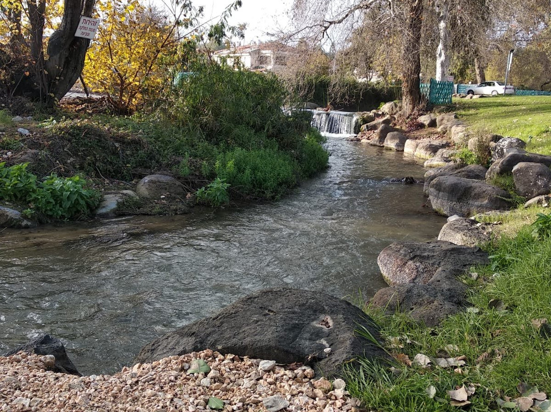 Erettz Dafna Travel Hotel主图