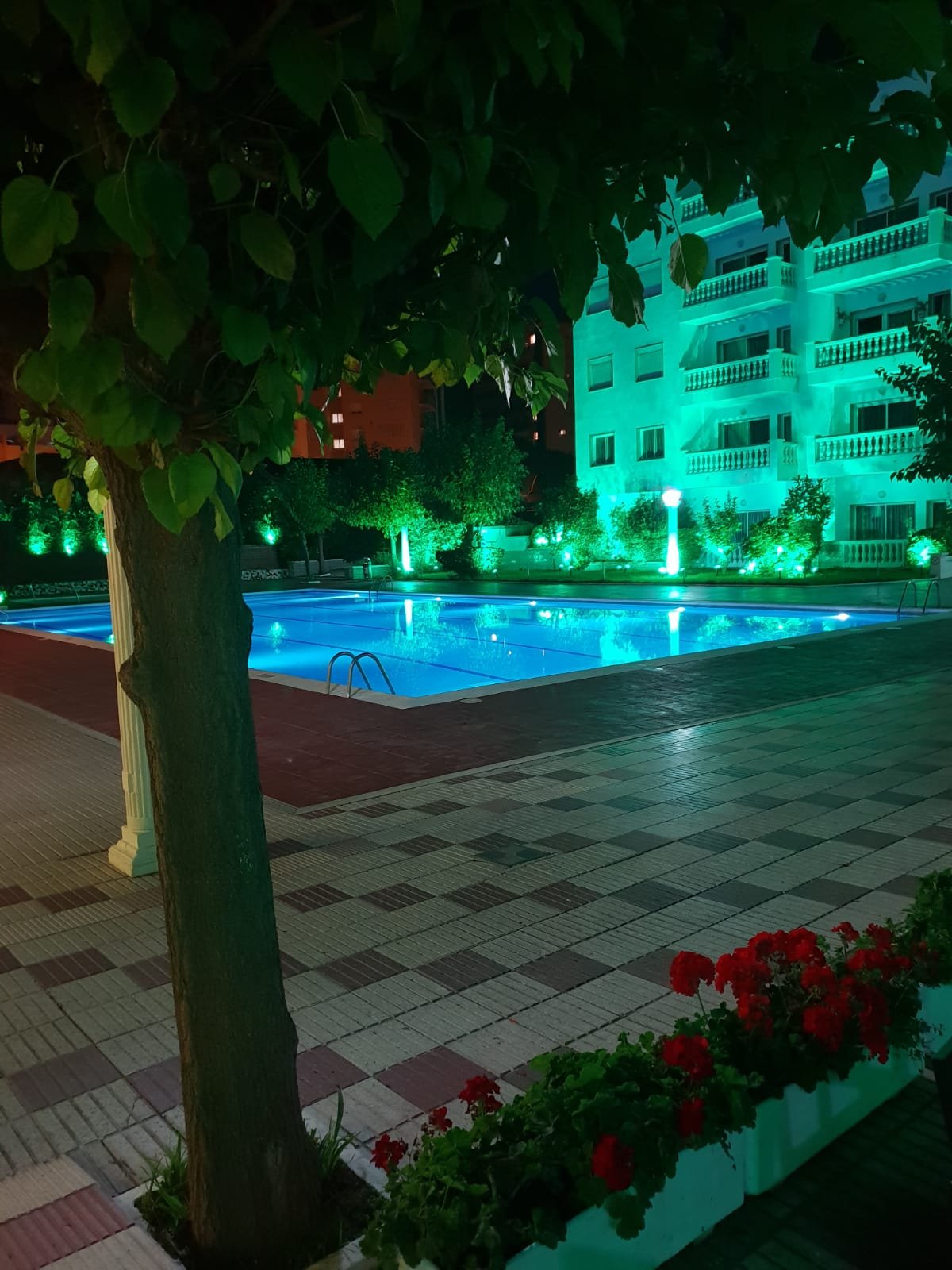 Europa Family Apartments-泳池
