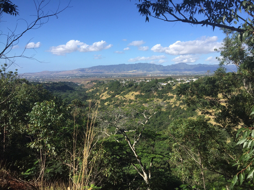 Waimano Ridge Trail-珍珠市必去景点