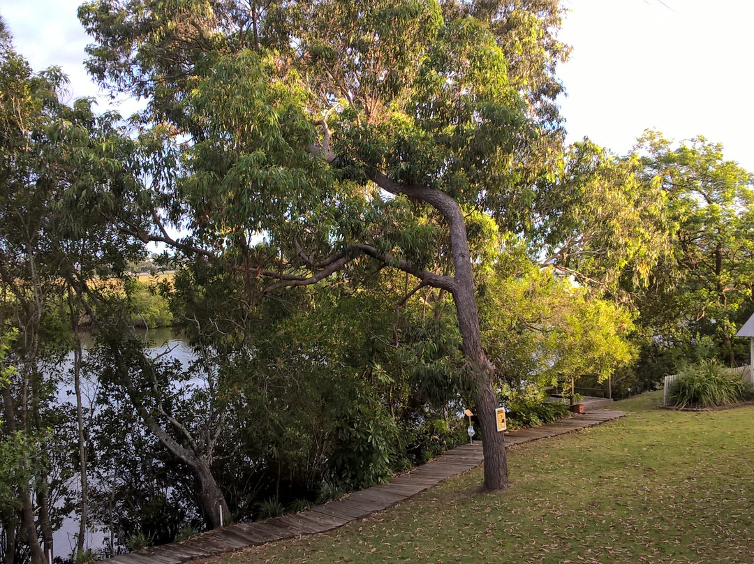 Bli Bli House Riverside Retreat主图