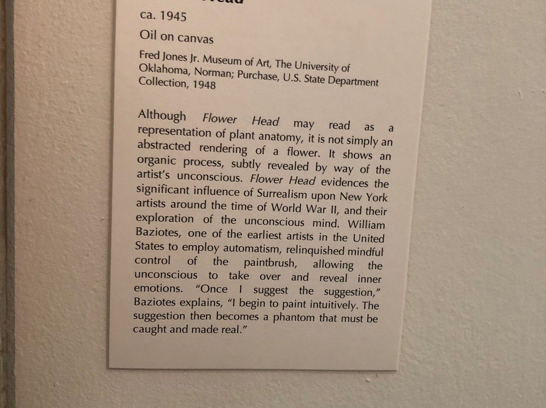 Fred Jones Jr. Museum of Art-诺曼必去景点