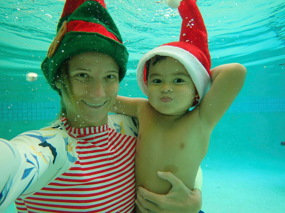 Airlie Beach Dive Centre-艾尔利滩必去景点